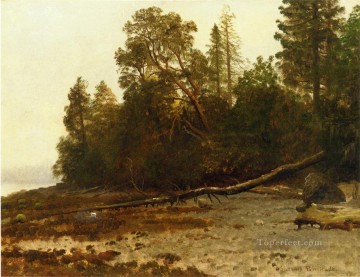 風景 Painting - 倒れた木 アルバート・ビアシュタットの森